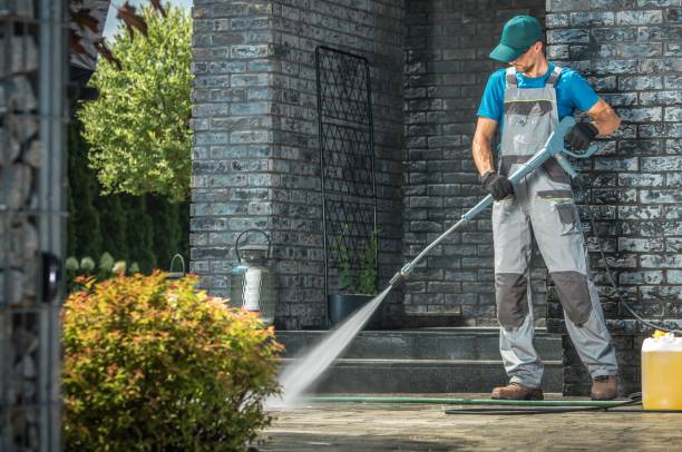 Best Gutter Cleaning  in Nedrow, NY