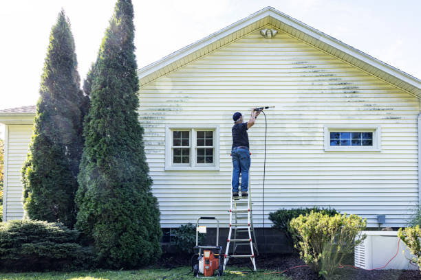 Best Graffiti Removal  in Nedrow, NY
